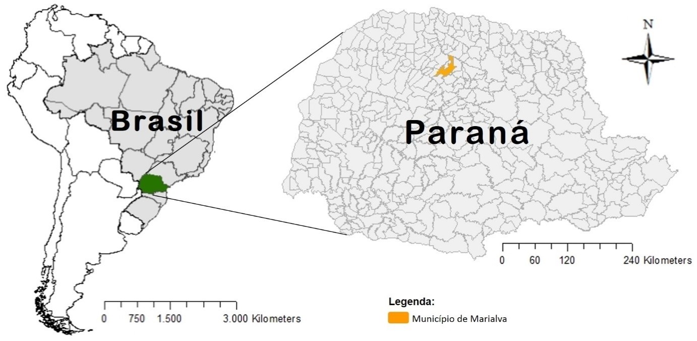 Figura
1: Localização do município de Marialva-PR 

 